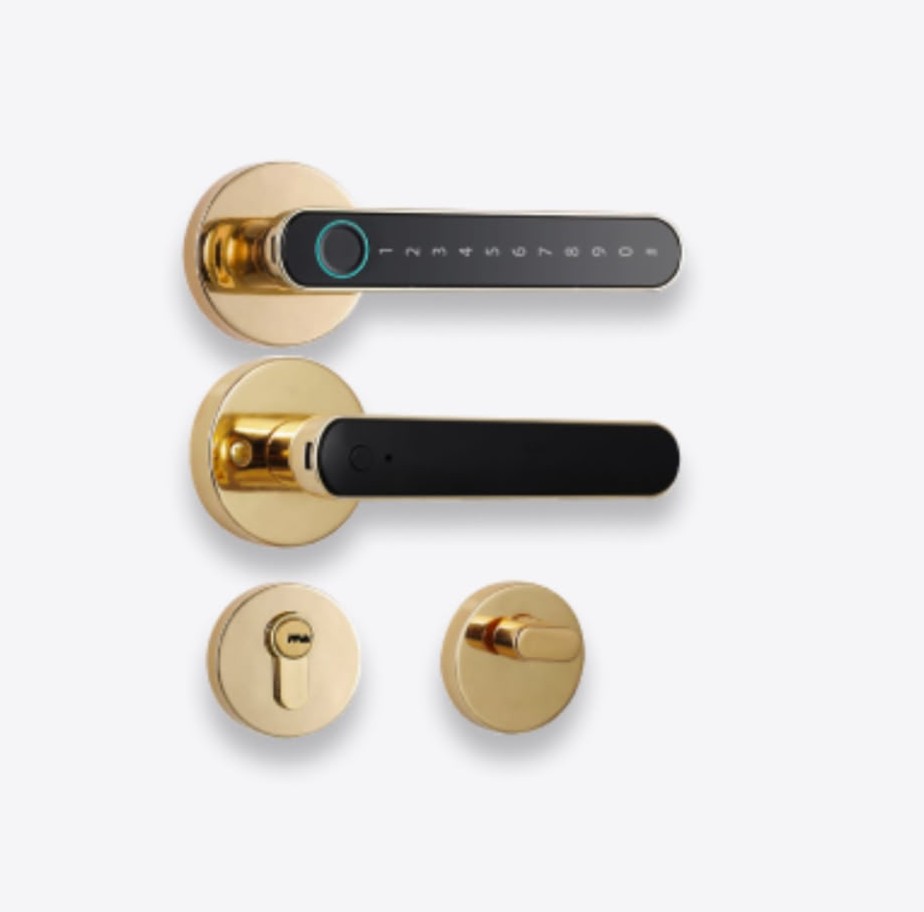 Gold finish biometric fingerprint door lock set
